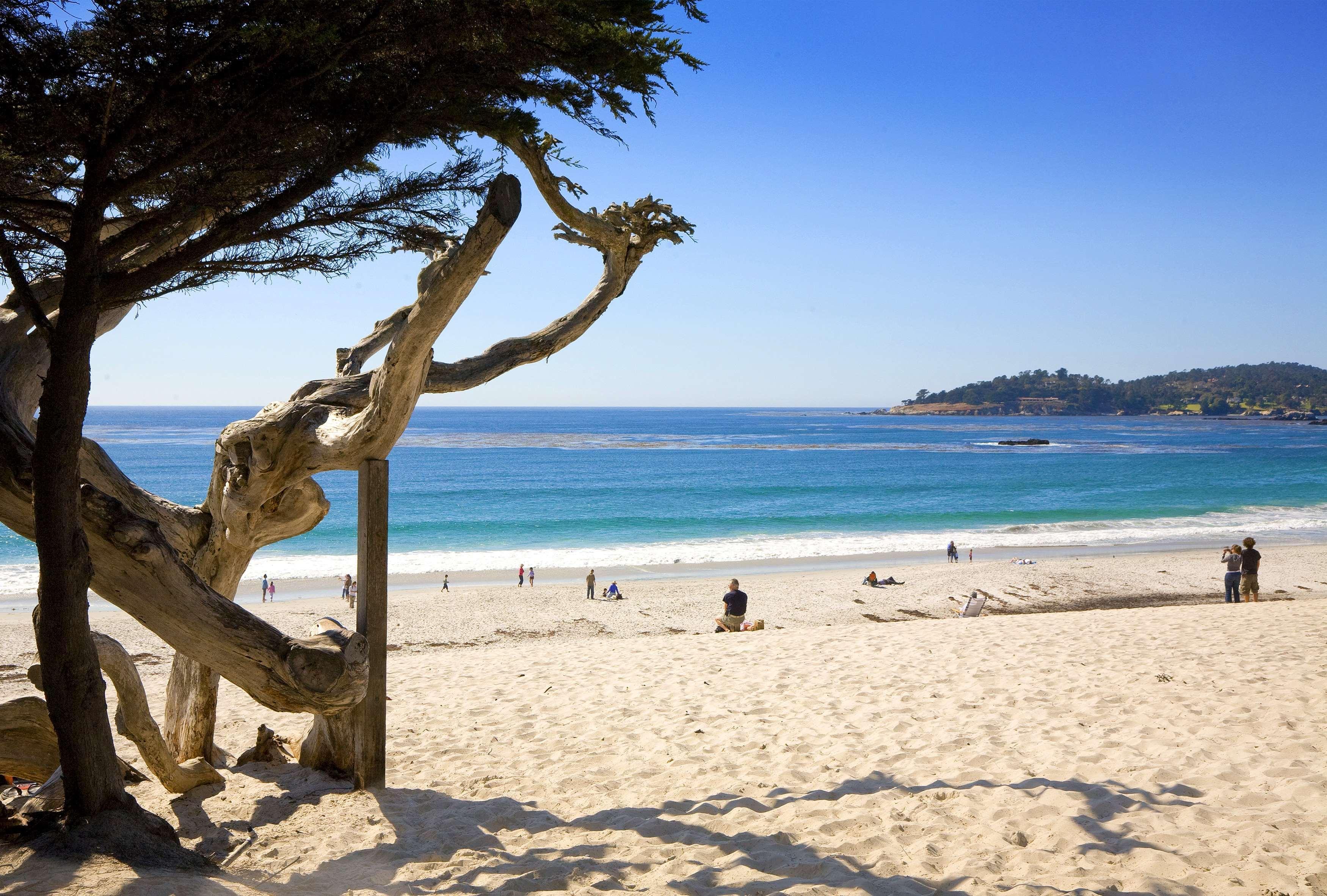 Hotel Hyatt Carmel Highlands Servizi foto